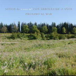 Se vende terreno Condominio Parque la Compañia ZC-S51