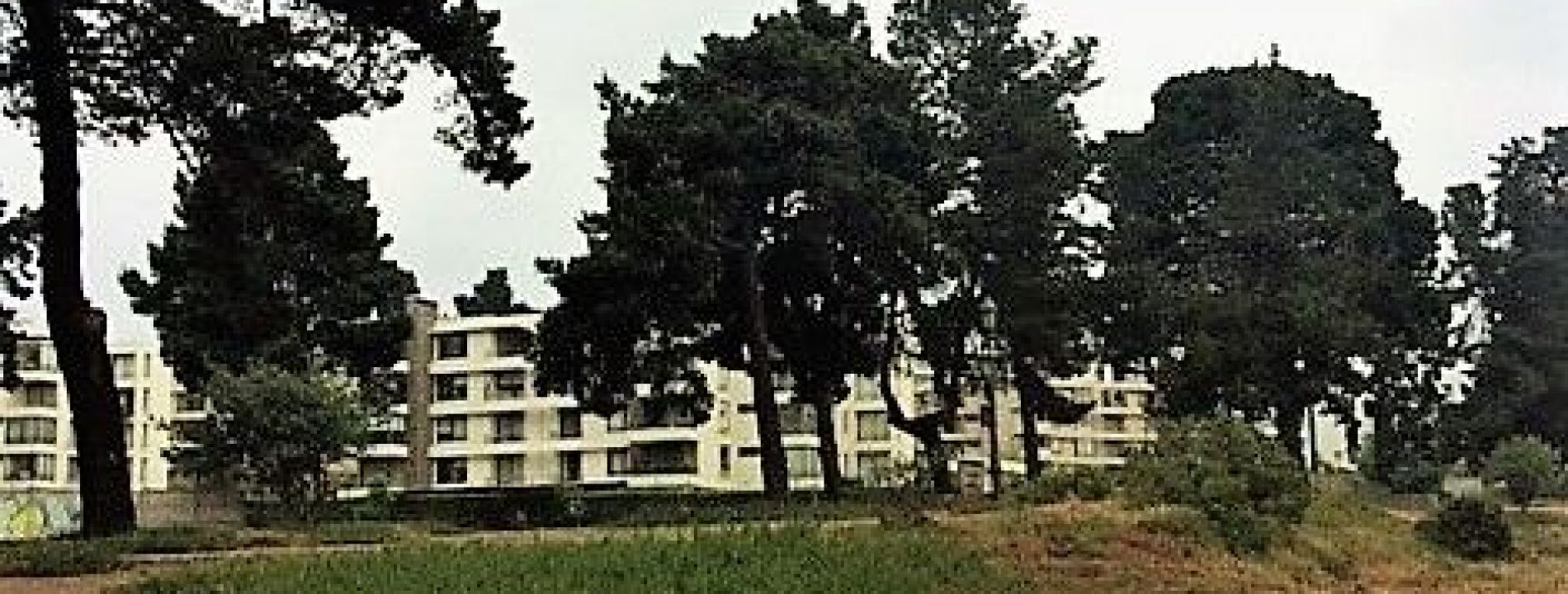 Terreno Bosques de Montemar